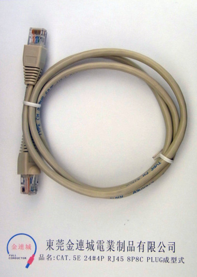 CAT 5E 24#4P RJ45 8P8C成型式.jpg