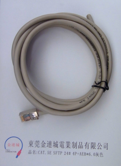 CAT 5E SFTP 24# 4P+AEB.jpg