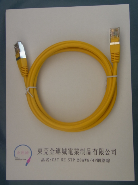 CAT 5E STP 28AWG.jpg