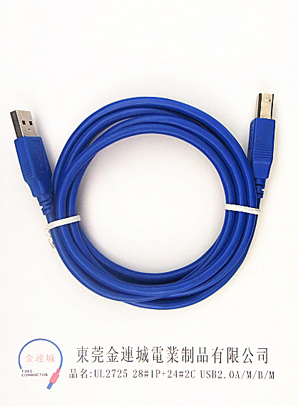 UL 272528#1P+24#2C USB2.0 AMBM.jpg