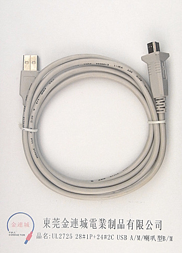 UL2725 28#1P+24#2C USB AM喇叭型BM.jpg