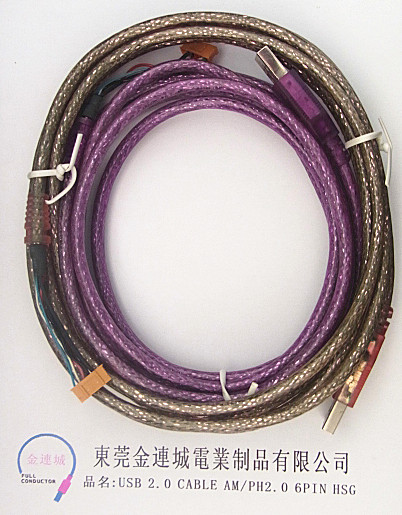 USB 2.0 CABLE AMPH2.0 6PIN HSG.jpg